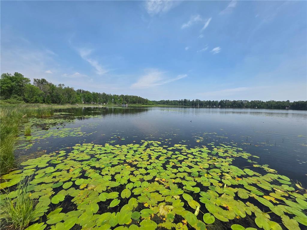 42870 328th Place Palisade MN 56469 - Gun 6754957 image3