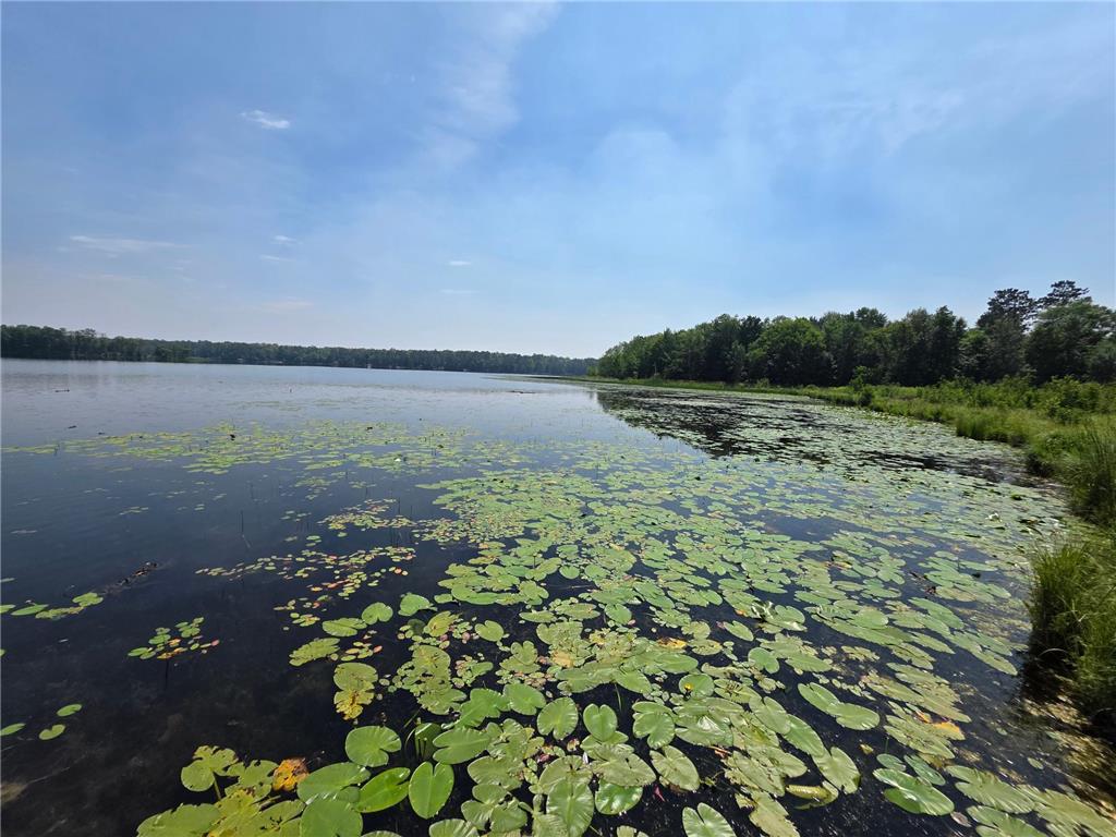 42870 328th Place Palisade MN 56469 - Gun 6754957 image2