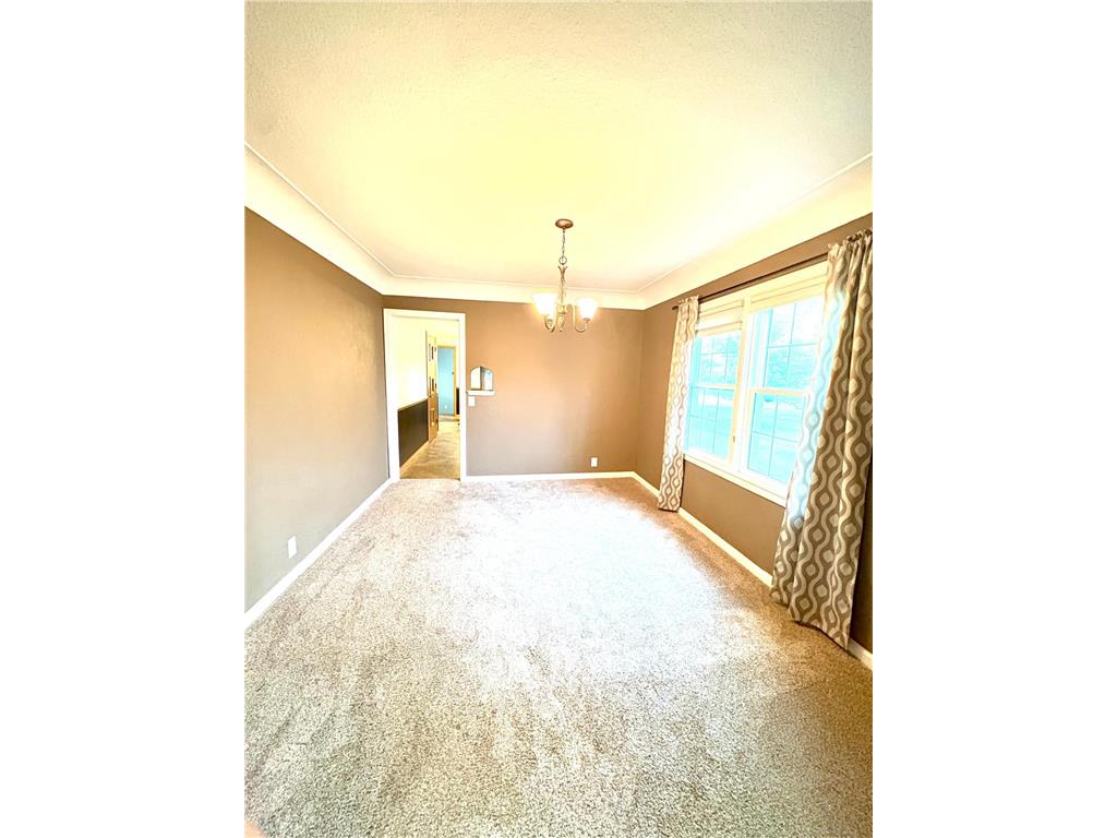 429 E Rooney Avenue Appleton MN 56208 6798359 image18