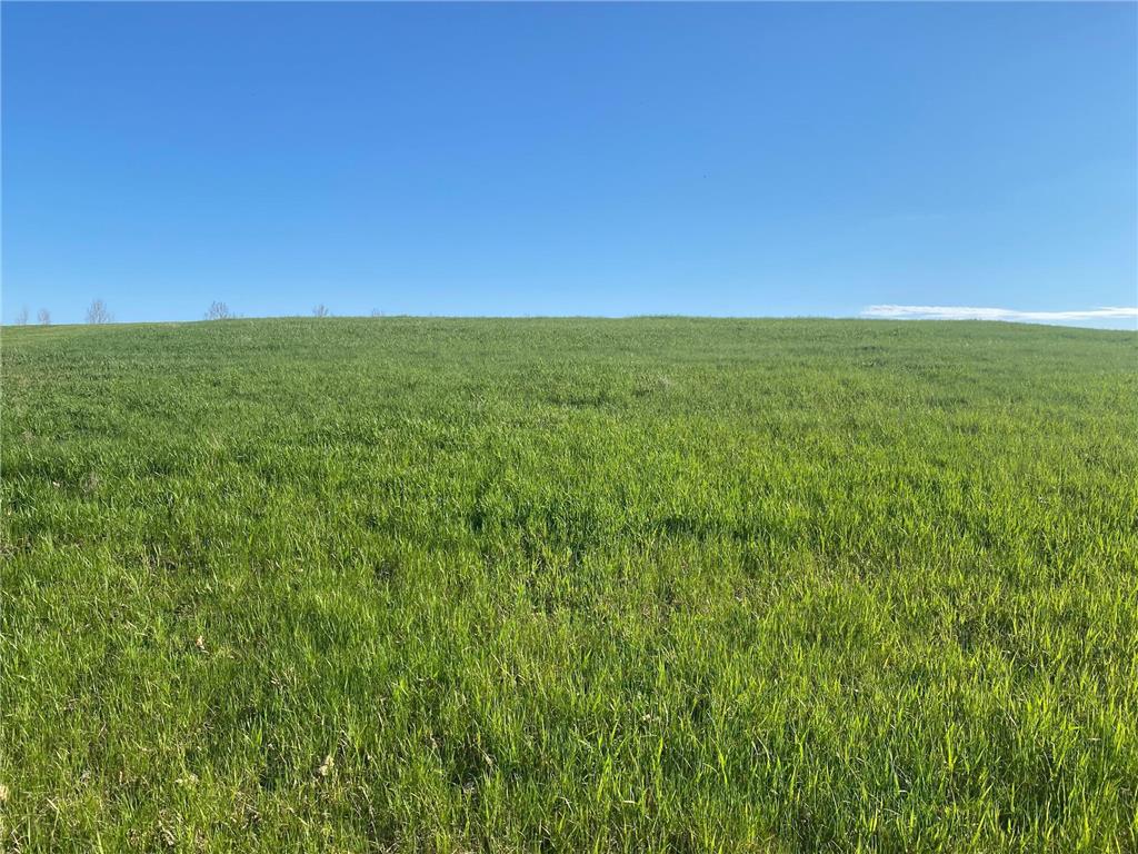 429 W Walnut Avenue Frazee MN 56544 - Town 7087366 image4