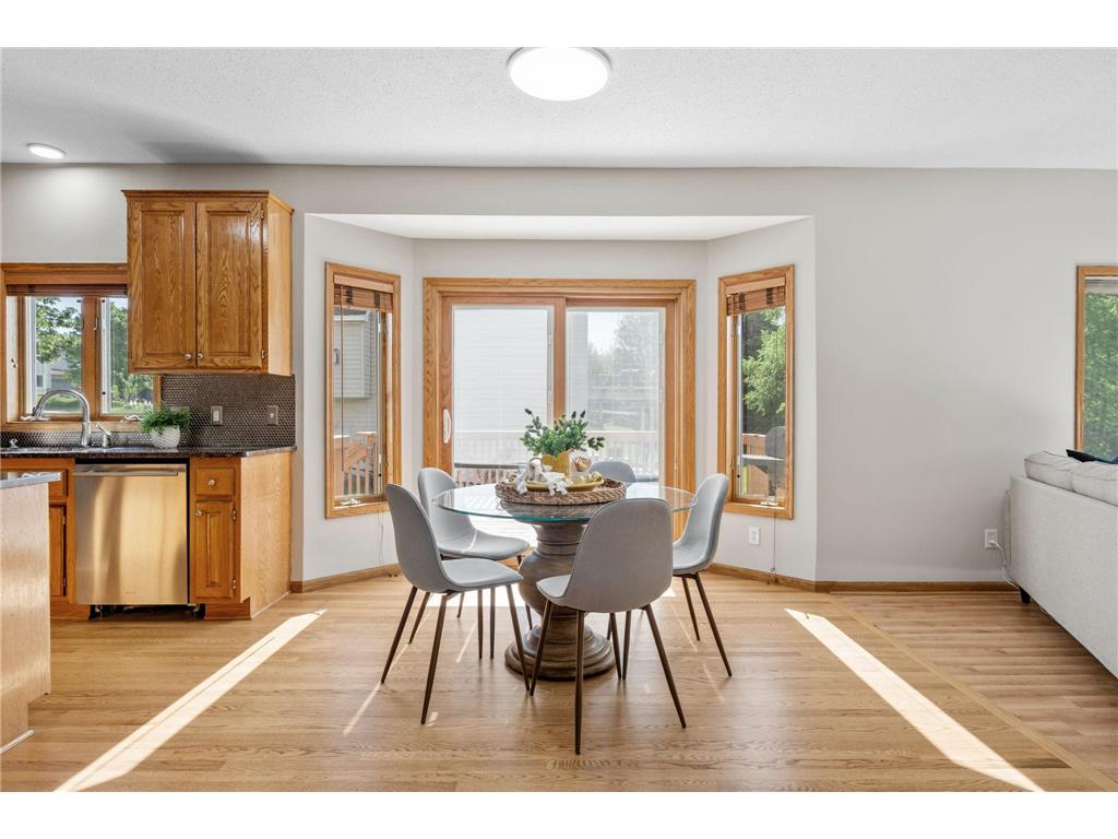 4290 Cottonwood Lane N Plymouth MN 55441 7086030 image20