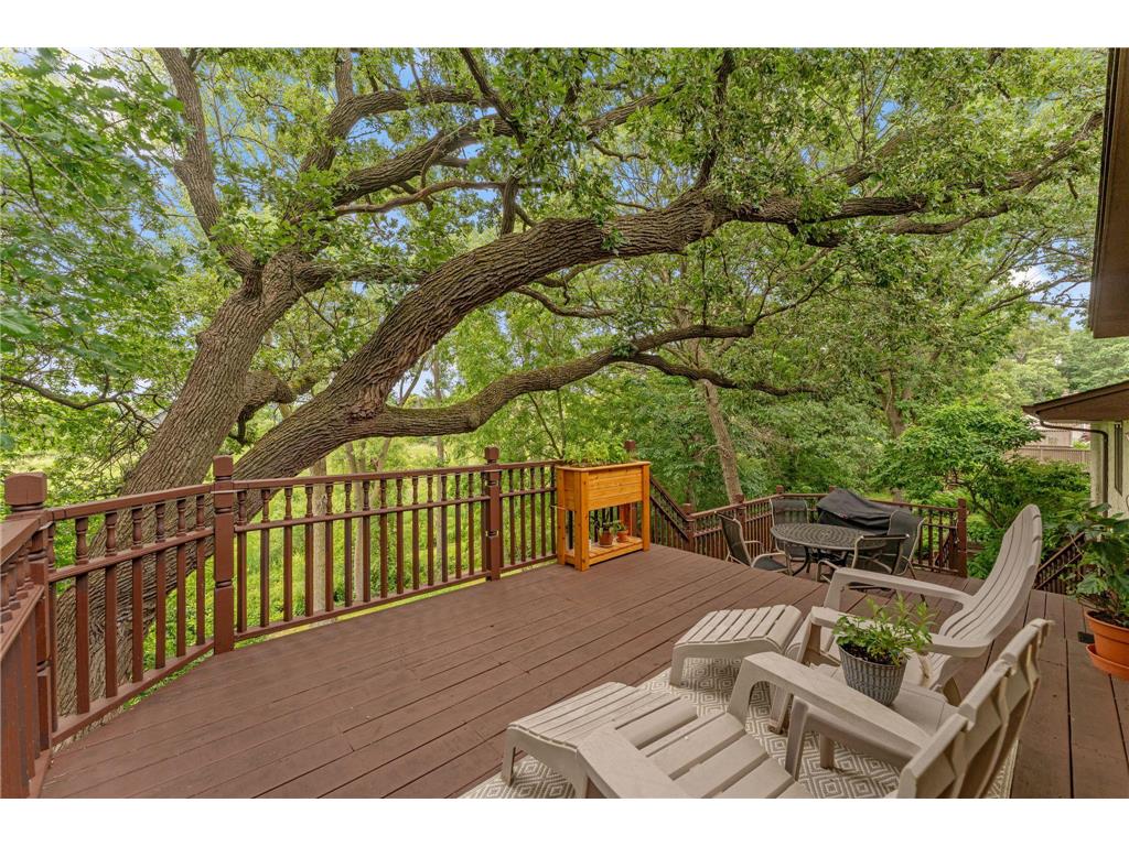 4291 Virginia Avenue Shoreview MN 55126 7096595 image38