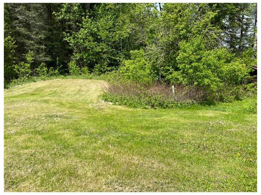 42943 County Road 336 Balsam Twp MN 55709 6729124 image10