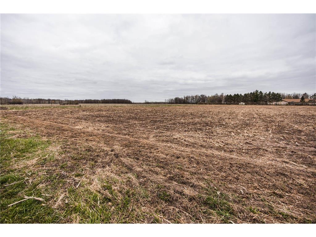 42950 County Highway 19 Blowers Twp MN 56477 7088321 image102