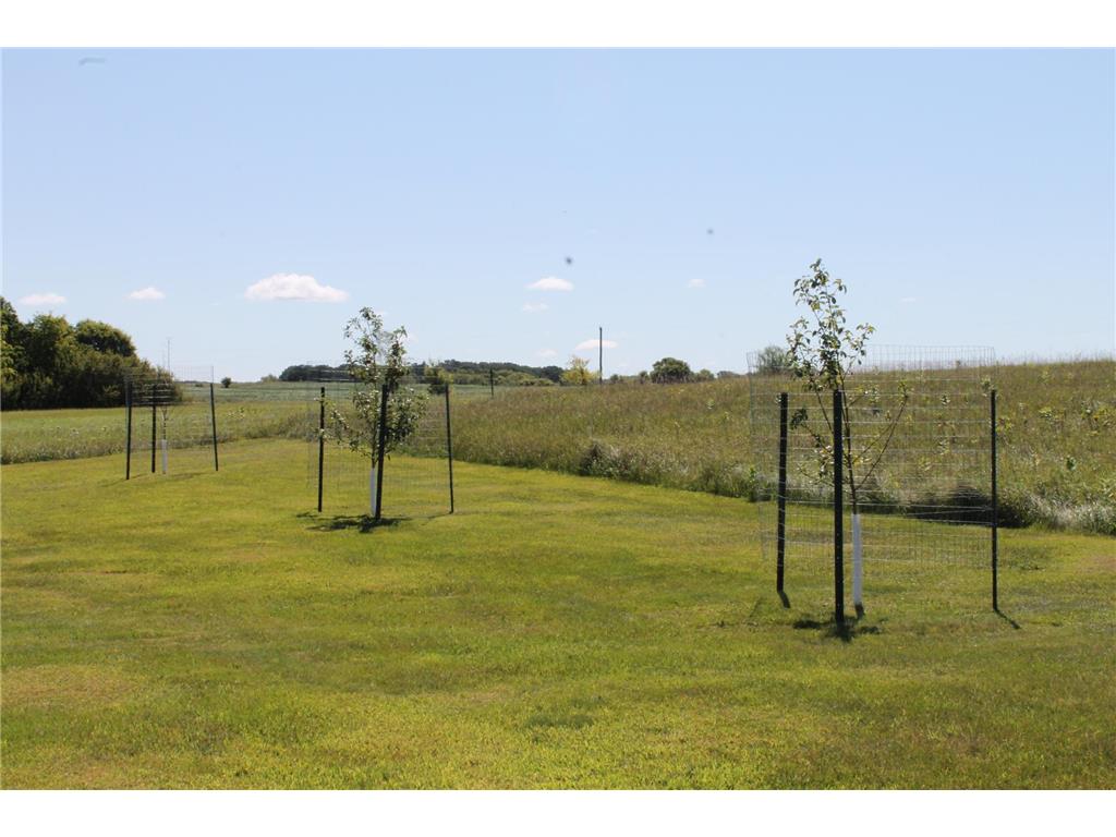 42955 165th Street Clitherall MN 56524 - Trulse 6778814 image43