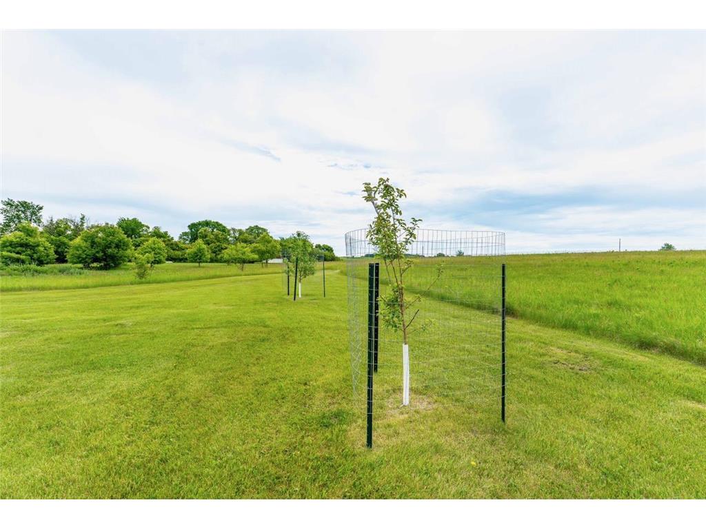 42955 165th Street Nidaros Twp MN 56524 - Trulse 7099631 image32