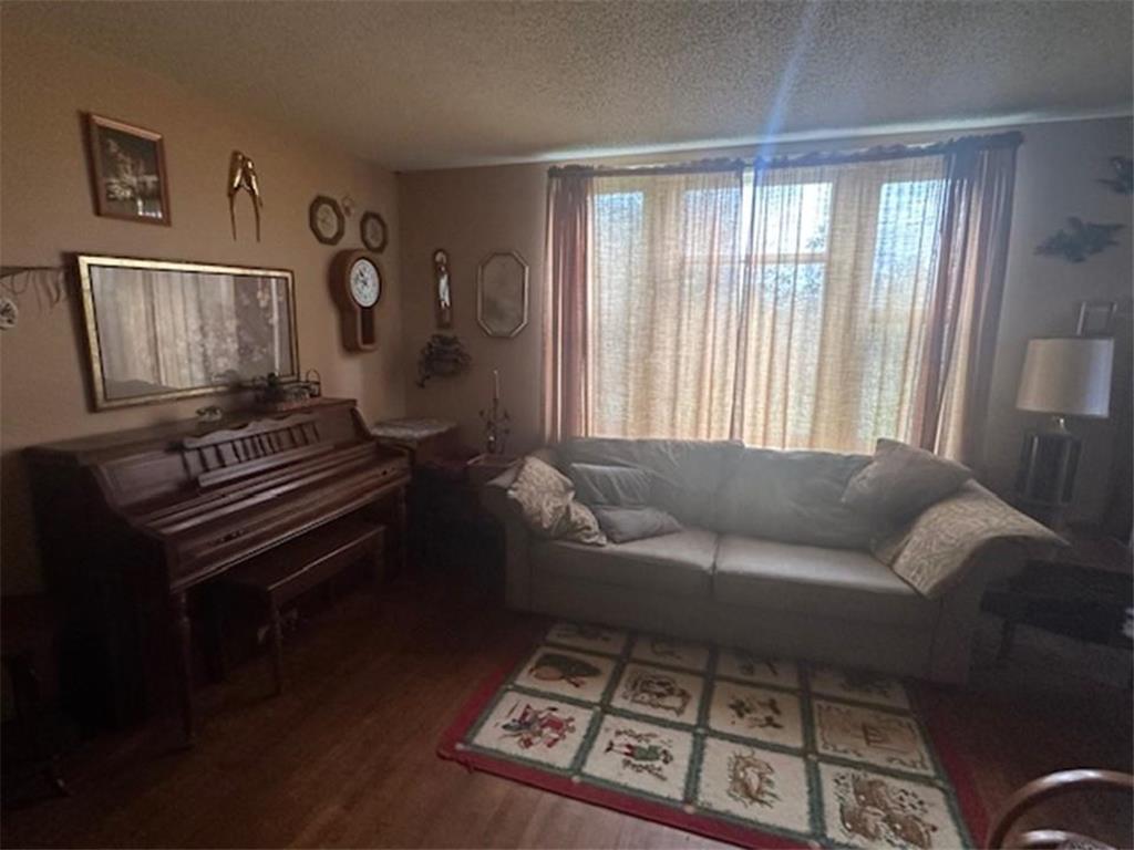 42961 165th Street Clitherall MN 56524 - Trulse 7079209 image28