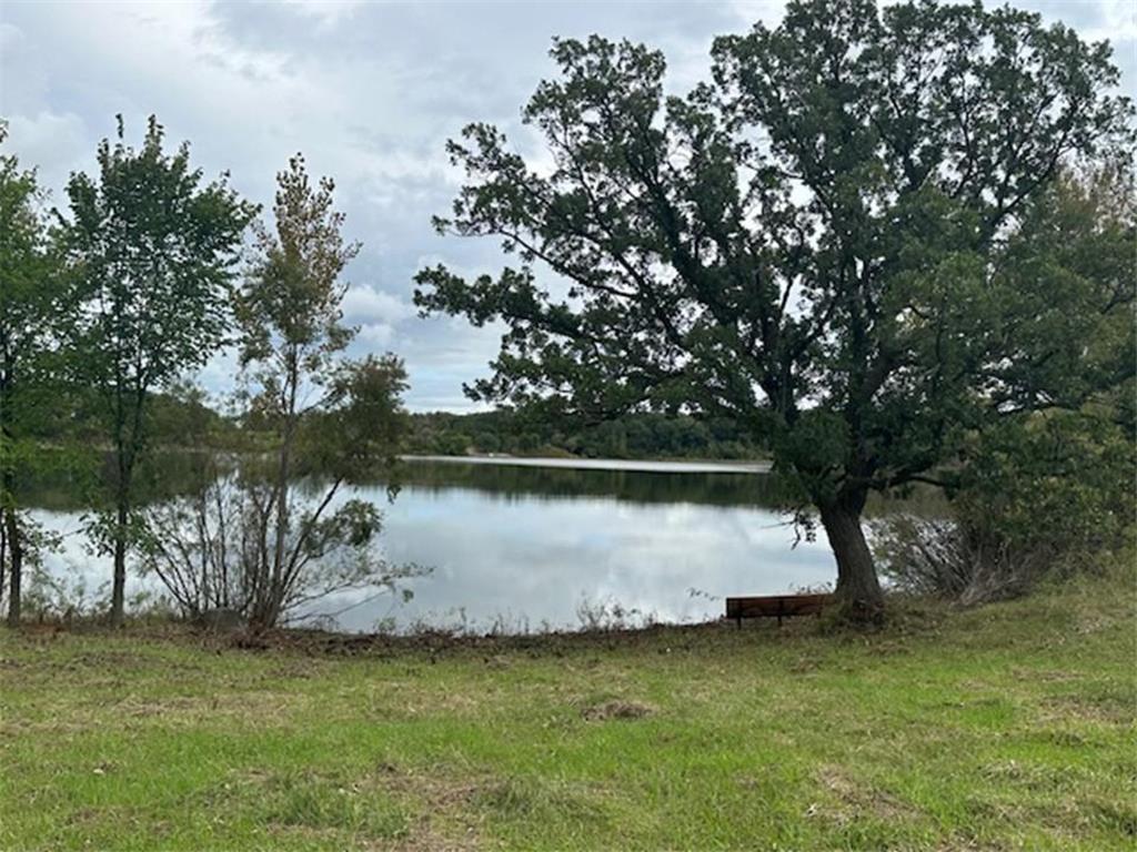 42961 165th Street Clitherall MN 56524 - Trulse 7079209 image35