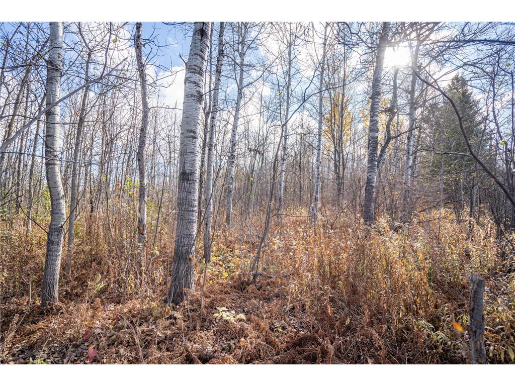 42xa Stebner Rd Hermantown MN 55811 6825228 image22