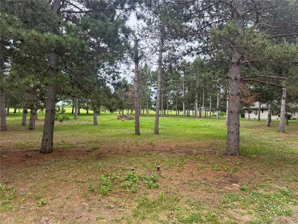 430 Thumper Lodge Road Ottertail MN 56571 7105317 image3