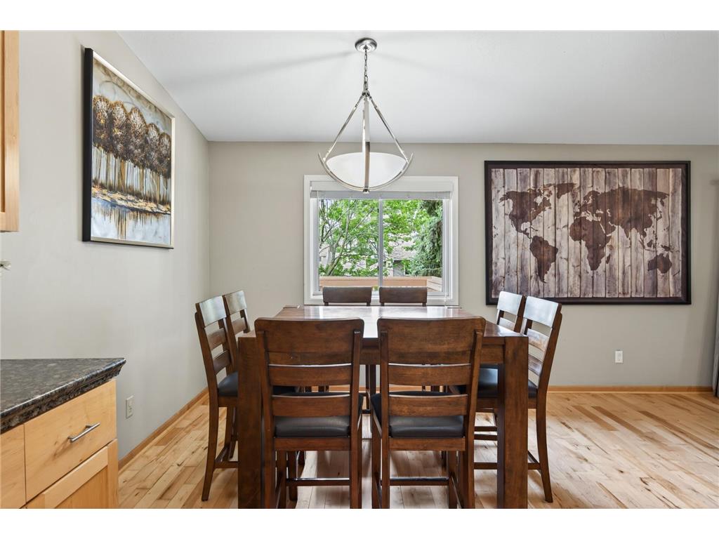 4302 Mccoll Drive Savage MN 55378 7075483 image12