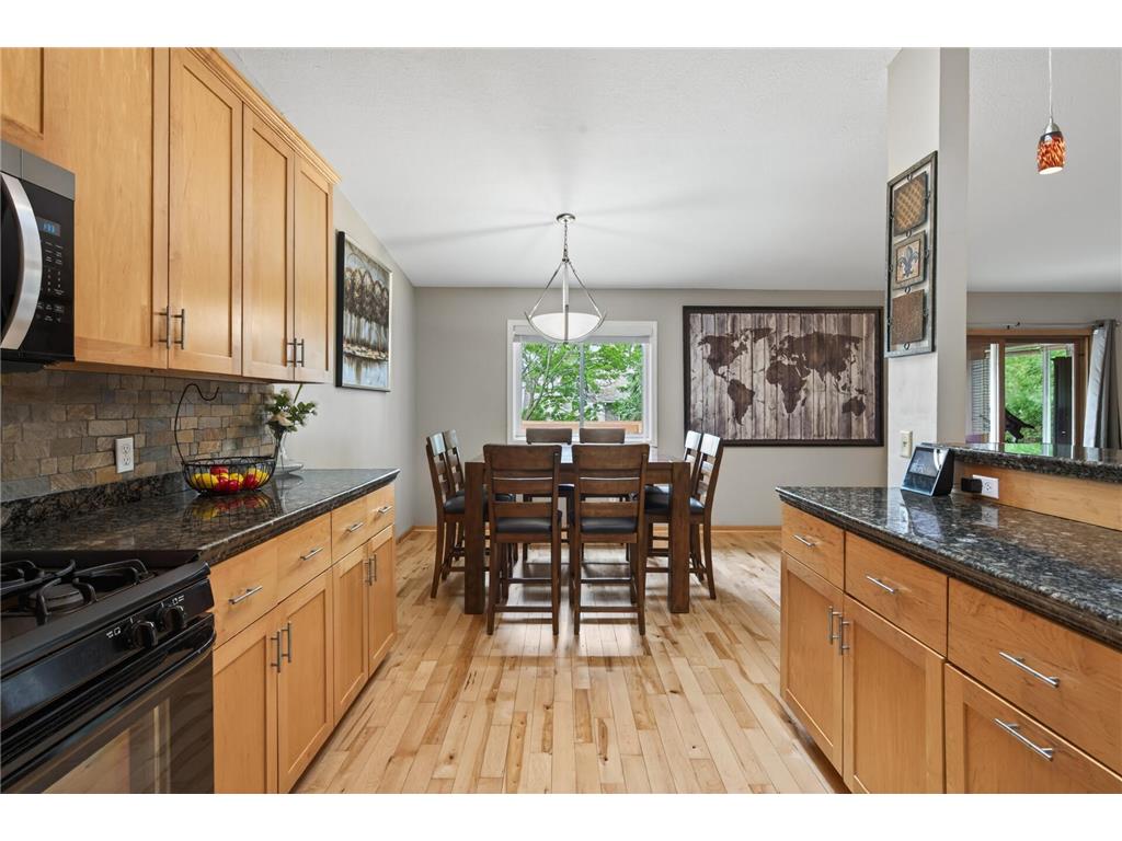 4302 Mccoll Drive Savage MN 55378 7075483 image17