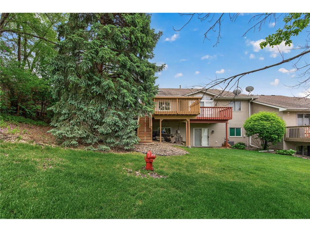 4302 Mccoll Drive Savage MN 55378 7075483 image46