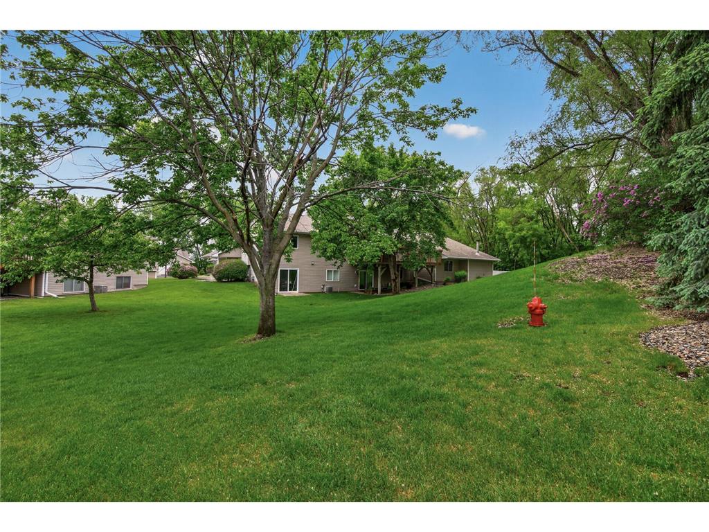 4302 Mccoll Drive Savage MN 55378 7075483 image48