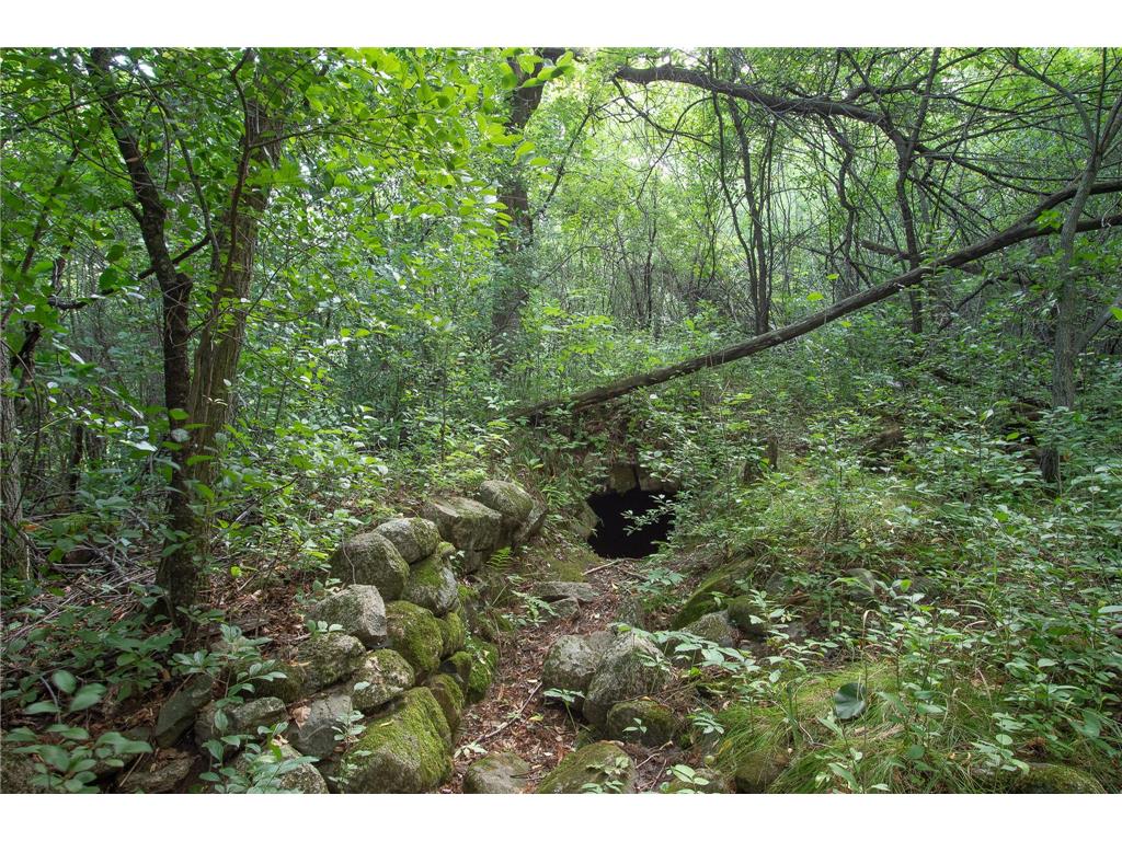 43020 Blackhawk Road Harris MN 55032 6733019 image54