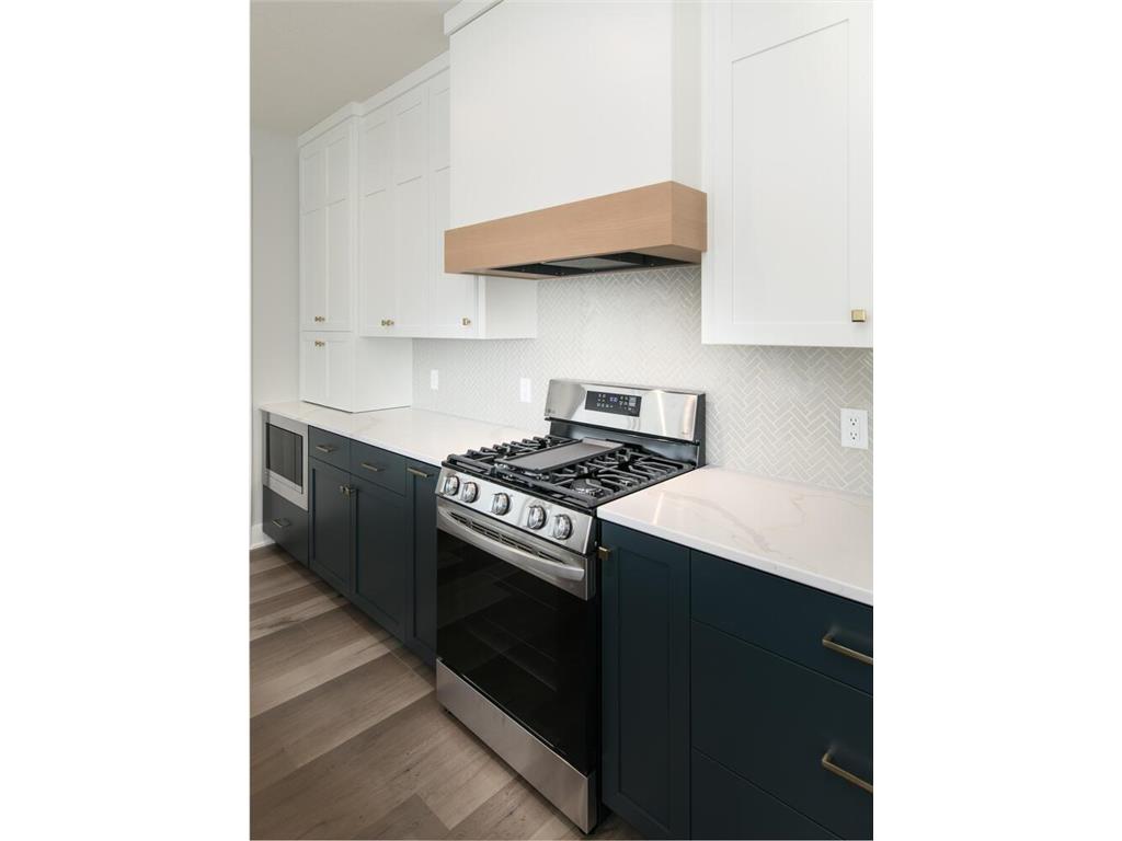 4303 Bass Street Prior Lake MN 55372 - Lower Prior 6638903 image9