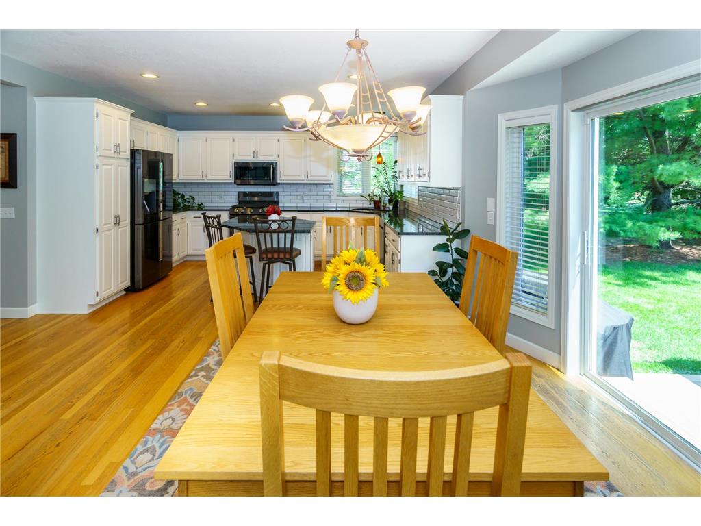 4304 Gadwall Court Eagan MN 55122 7080465 image22