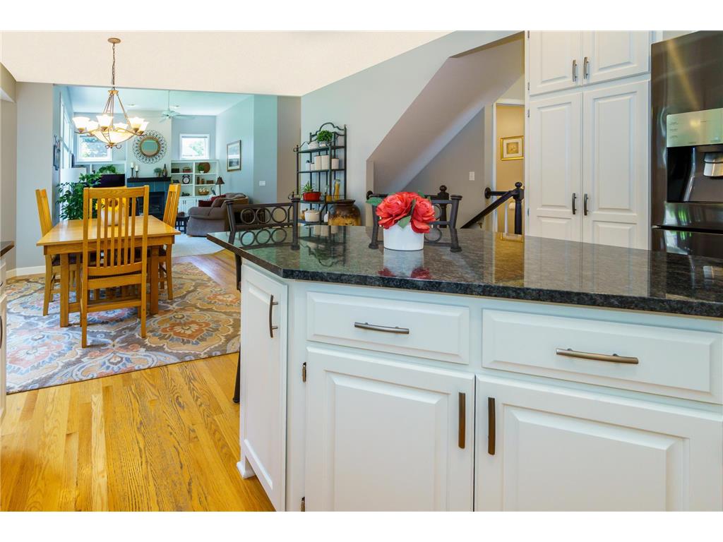 4304 Gadwall Court Eagan MN 55122 7080465 image28