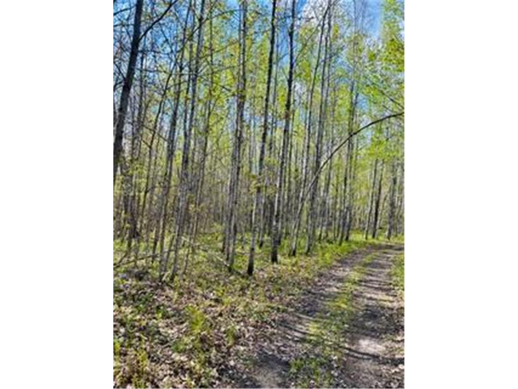 43056 County 45 Hart Lake Twp MN 56461 7079380 image26