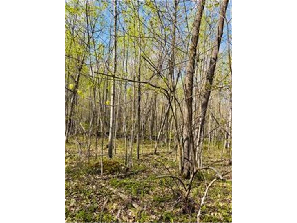 43056 County 45 Hart Lake Twp MN 56461 7079380 image27