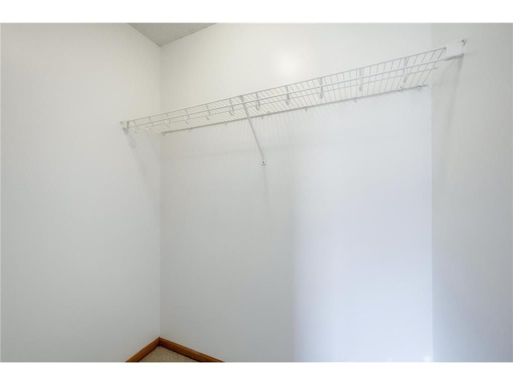 4308 Cass Court Webster MN 55088 7106209 image28