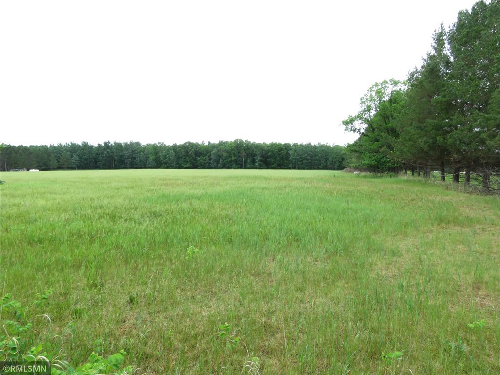 43080 270th St Malung Twp MN 56751 6383805 image1