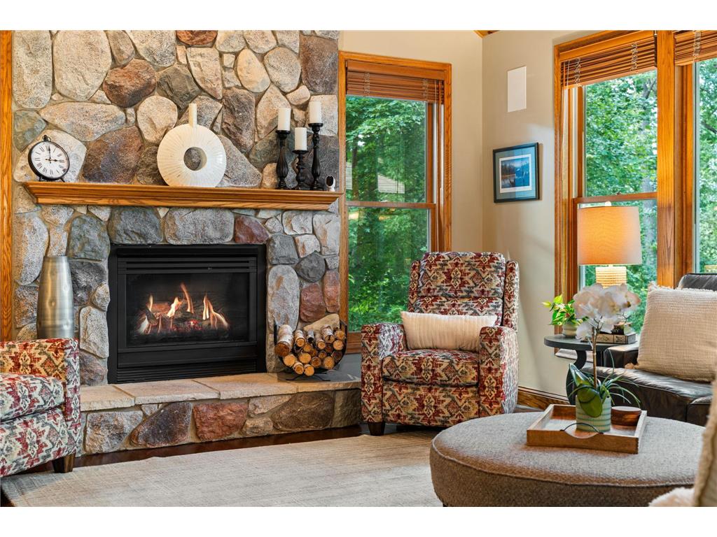 4309 Colleen Court Arden Hills MN 55112 6817262 image37