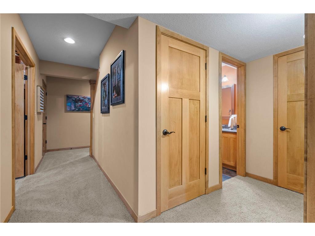 4309 Colleen Court Arden Hills MN 55112 6817262 image55