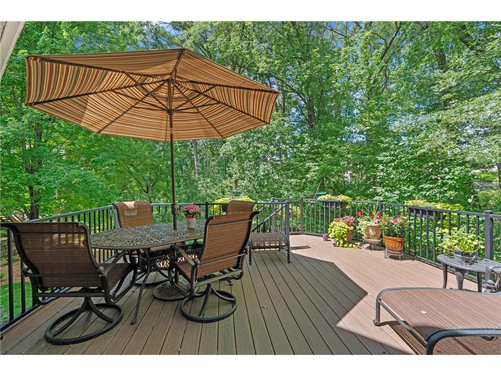 4309 Colleen Court Arden Hills MN 55112 6817262 image77