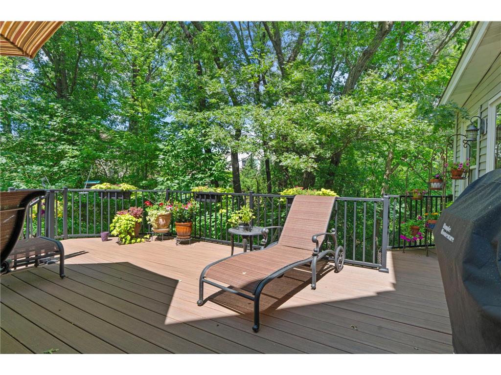 4309 Colleen Court Arden Hills MN 55112 6817262 image78