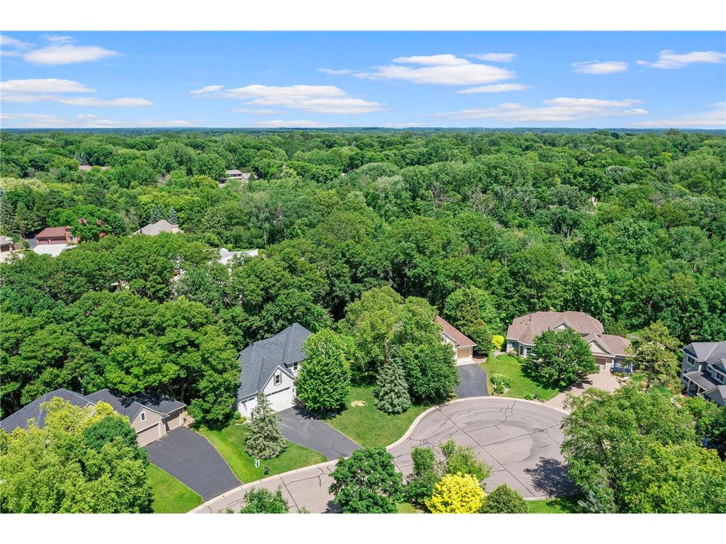 4309 Colleen Court Arden Hills MN 55112 6817262 image95