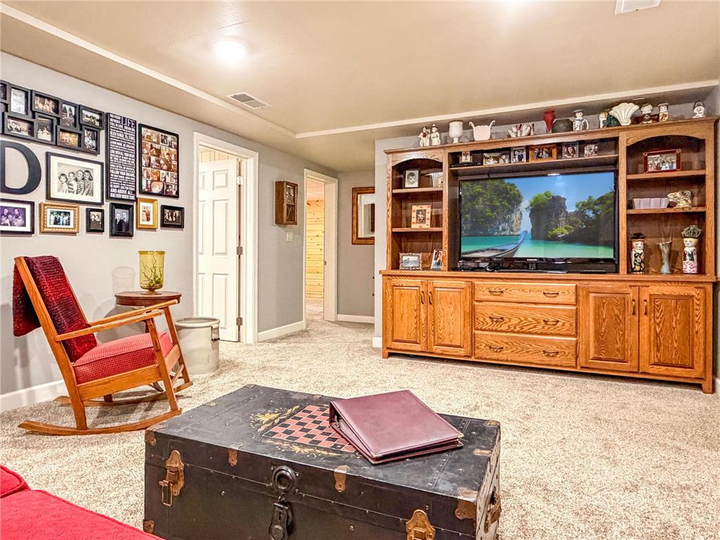 431 Central Avenue S Balaton MN 56115 7086145 image39
