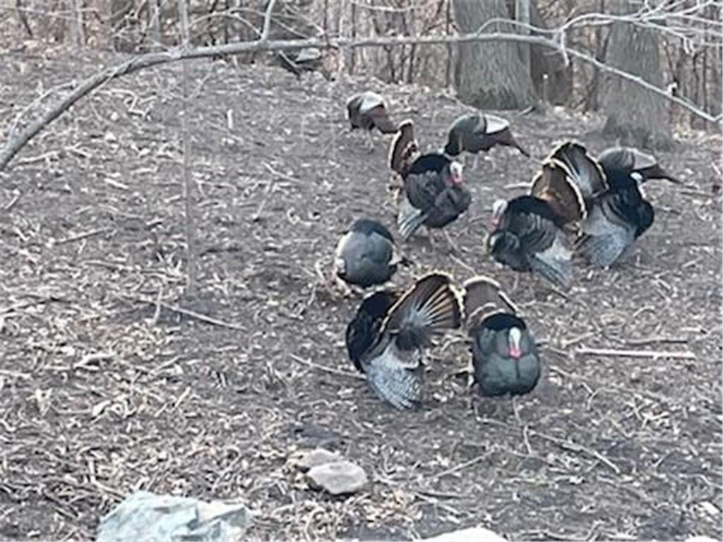 4310 Deere trail Chaska MN 55318 6387961 image25