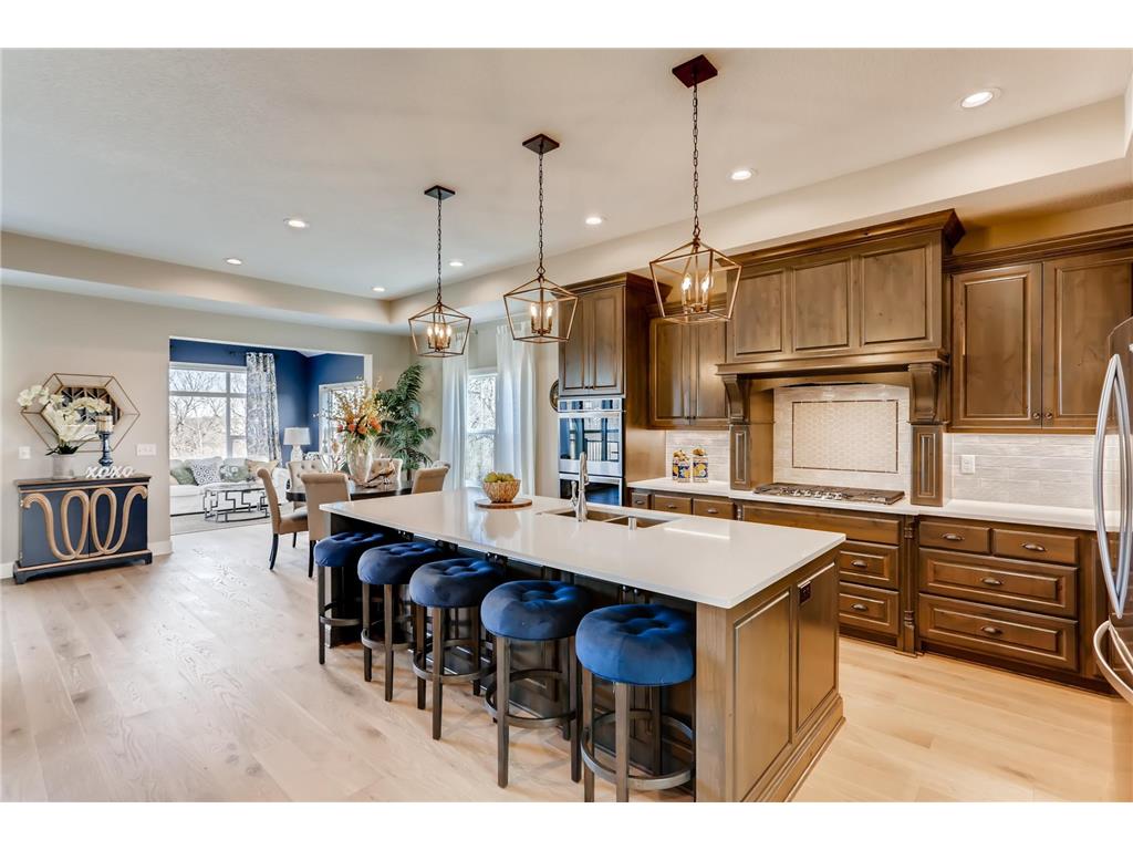 4310 Deere trail Chaska MN 55318 6387961 image7