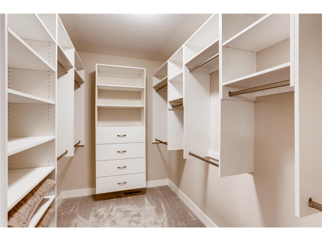 4311 Deere trail Chaska MN 55318 7009305 image23