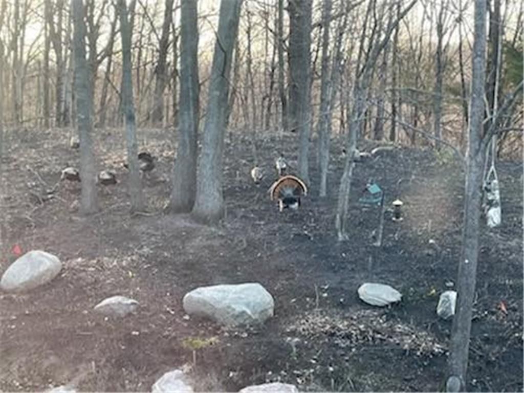 4311 Deere trail Chaska MN 55318 7009305 image26