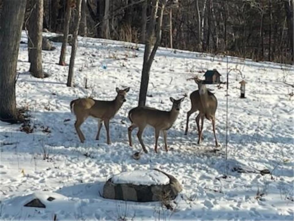 4315 Deere trail Chaska MN 55318 7005388 image24