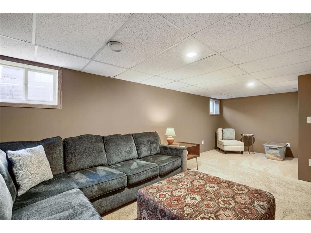4319 3rd Avenue S Minneapolis MN 55409 7059034 image9