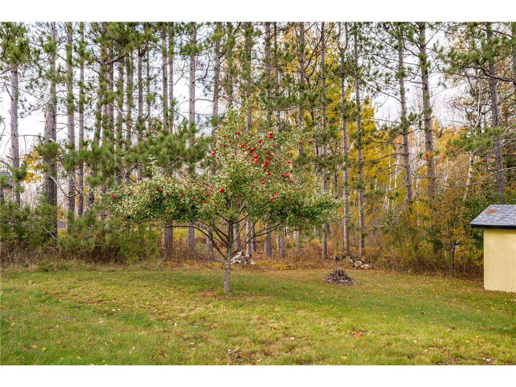 4319 Decker Road Duluth MN 55811 6808595 image28