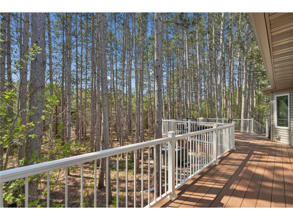 4320 217th Avenue NE East Bethel MN 55011 7084928 image32