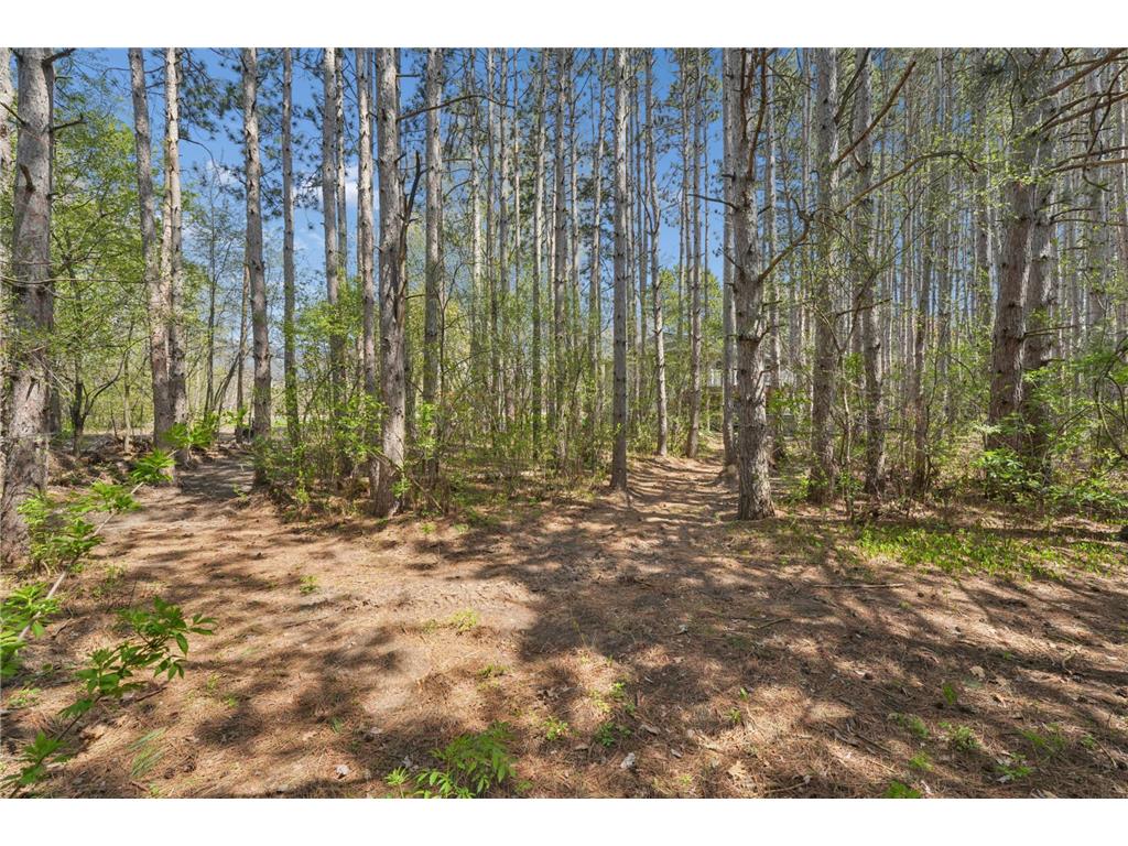 4320 217th Avenue NE East Bethel MN 55011 7084928 image45