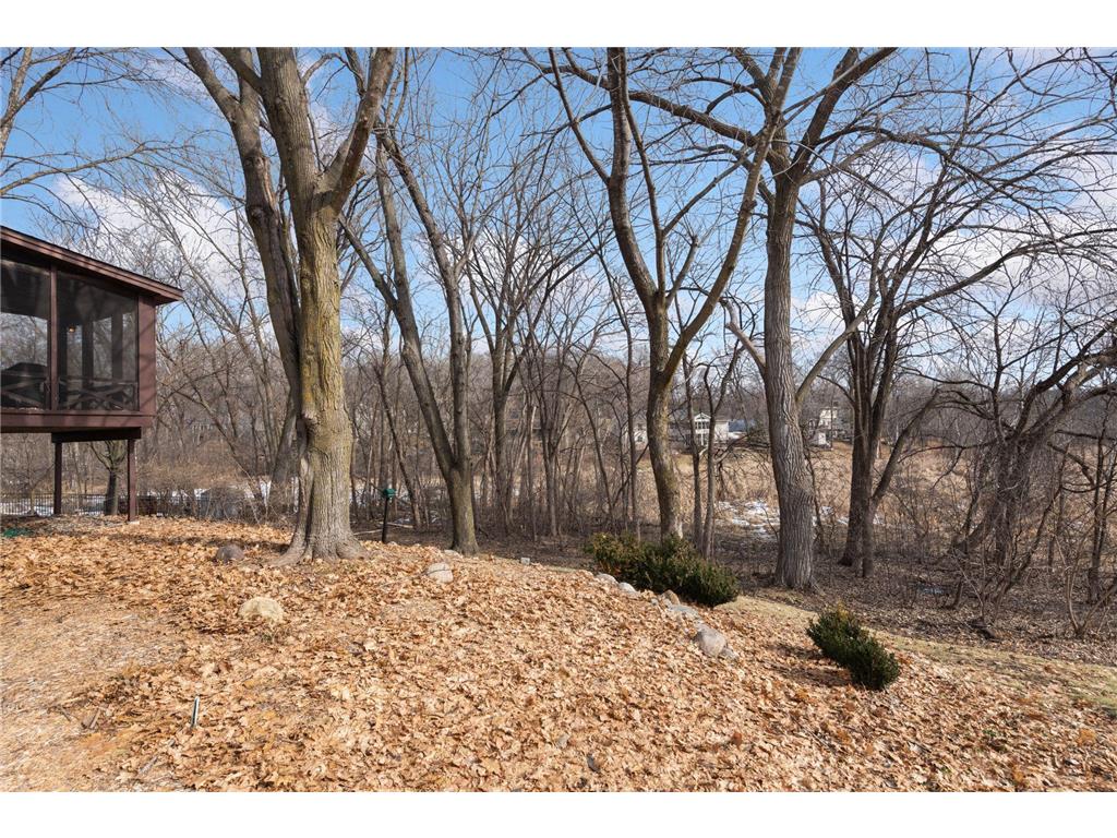 4321 Lancelot Drive Minnetonka MN 55345 7022620 image25