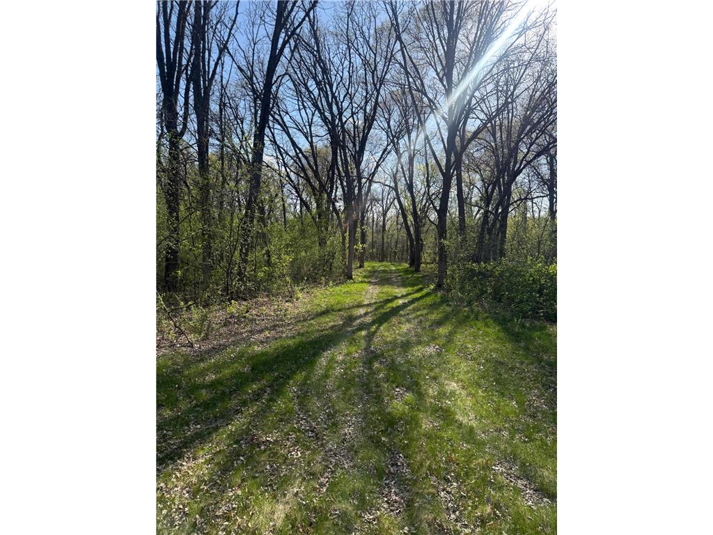 4325 17th Avenue NW Sauk Rapids Twp MN 56379 7070186 image12