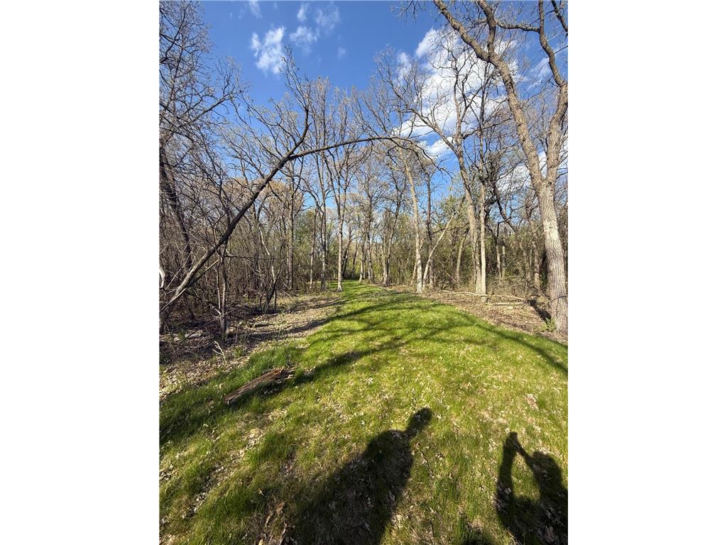 4325 17th Avenue NW Sauk Rapids Twp MN 56379 7070186 image8
