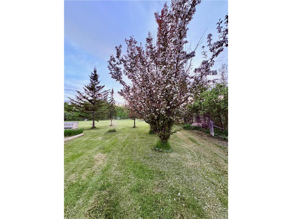 4325 94th Avenue NW Roosevelt MN 56673 7084943 image36