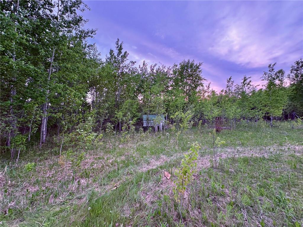 4325 94th Avenue NW Roosevelt MN 56673 7084943 image37
