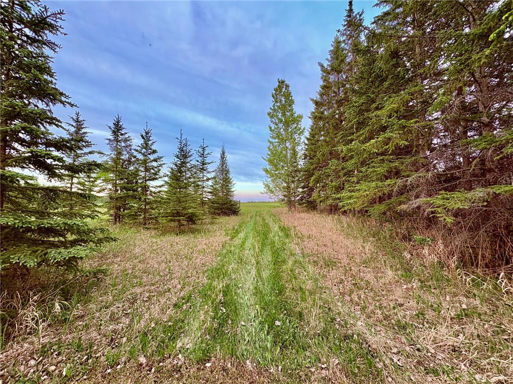 4325 94th Avenue NW Roosevelt MN 56673 7084943 image41