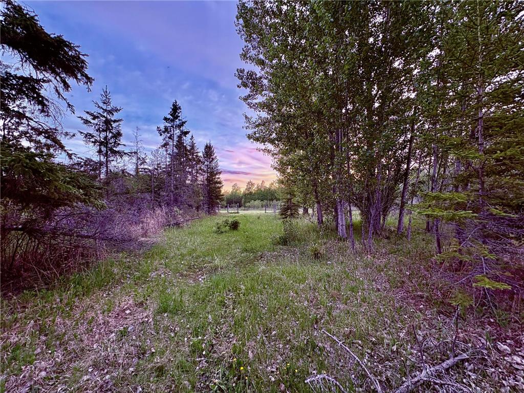 4325 94th Avenue NW Roosevelt MN 56673 7084943 image42