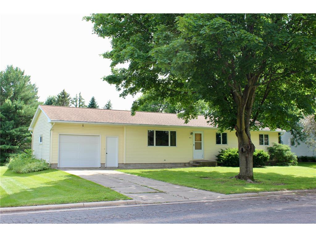 433 2nd Street SW Blooming Prairie MN 55917 6559579 image1