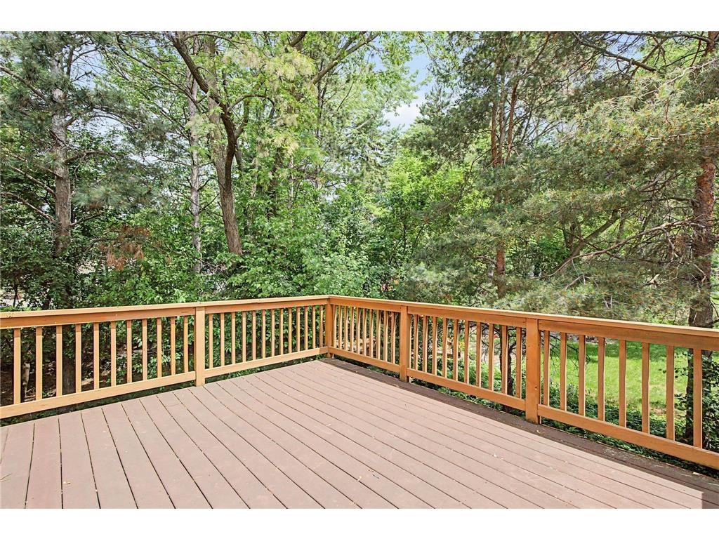 433 Majestic Court Shoreview MN 55126 7088551 image46